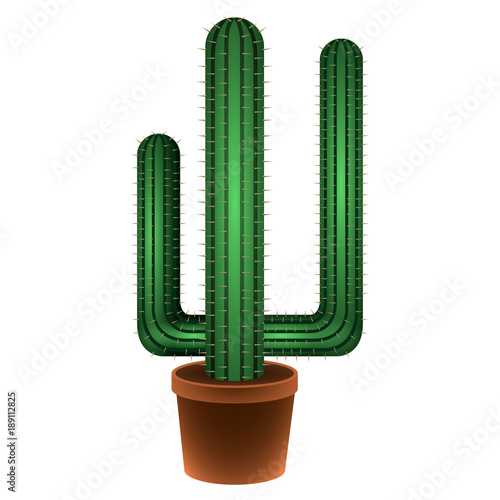 Isolated cactus image