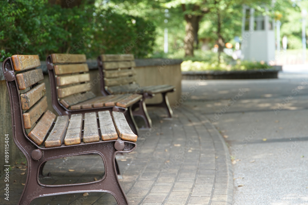 Scenery of a park bench surrounded by sunny green