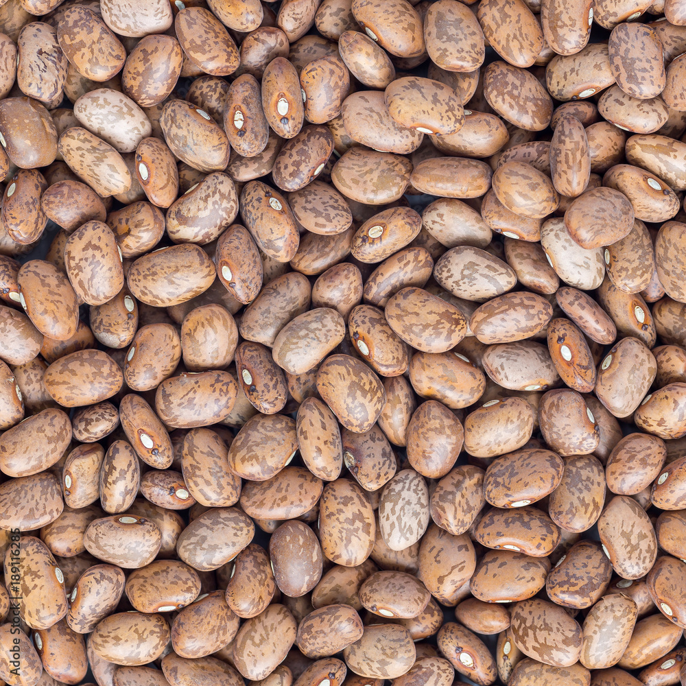 Uncooked dry pinto beans on a gray concrete background, top view, square format Uncooked dry pinto beans on a gray concrete background, top view, square format