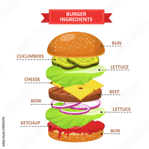 Burger ingredients set