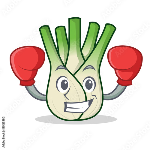 Boxing fennel character cartoon style