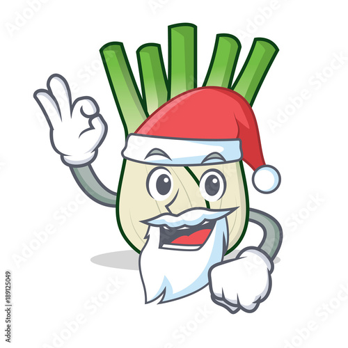 Santa fennel mascot cartoon style