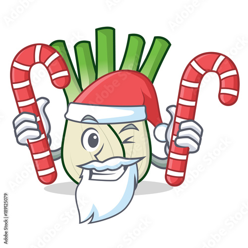 Santa with candy fennel mascot cartoon style