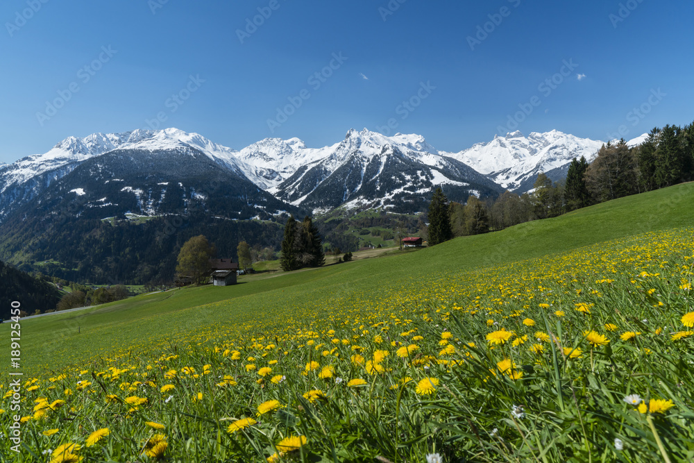Frühling in der Natur Frühling in der Natur