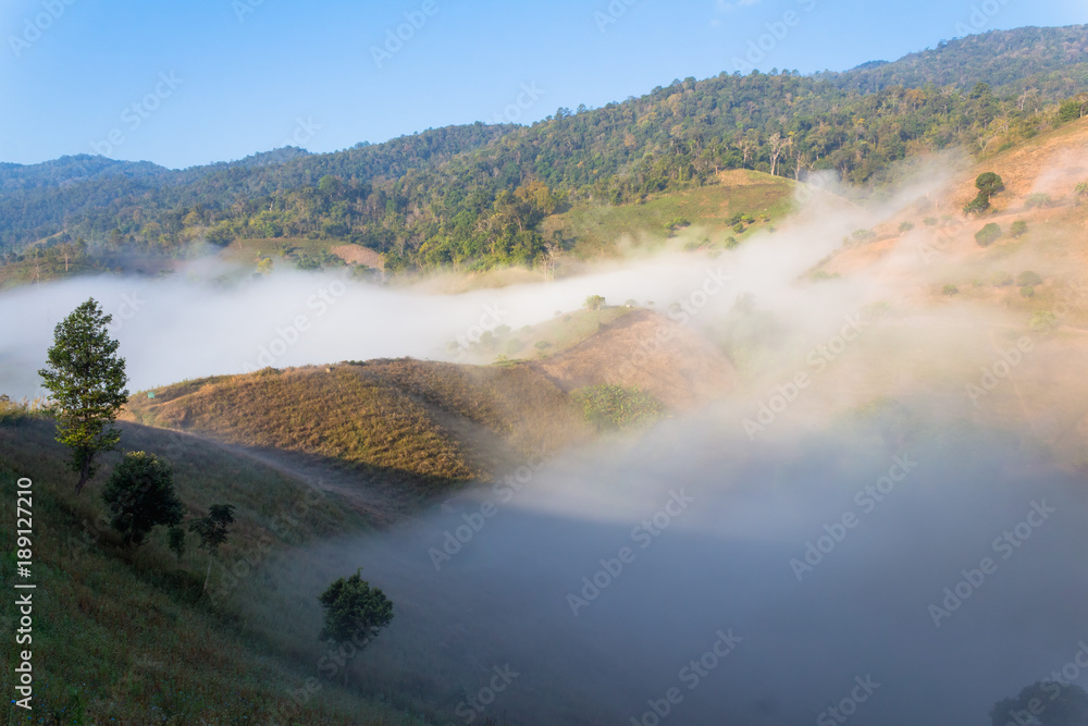 Fog path through the mountain farm uphill to the sky at morning time. Fog path through the mountain farm uphill to the sky at morning time.
