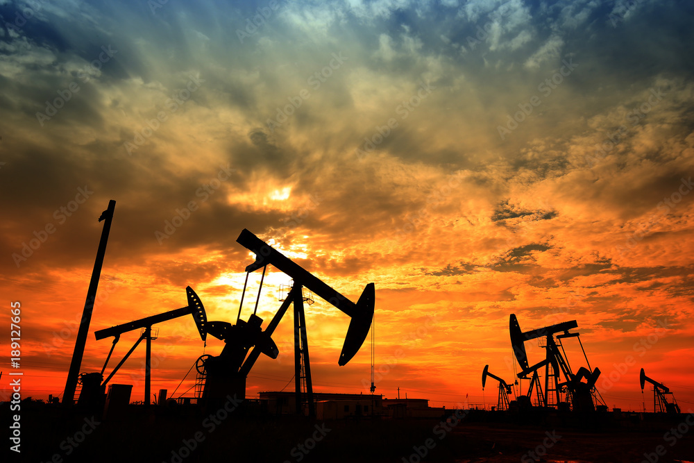 The oil pump, industrial equipment The oil pump, industrial equipment