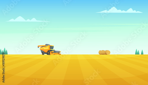Rural summer landscape with Combine harvester agriculture machine harvesting golden ripe wheat field
