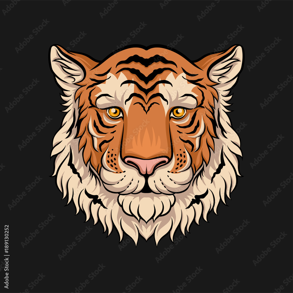 Head of tiger, face of wild animal hand drawn vector Illustration