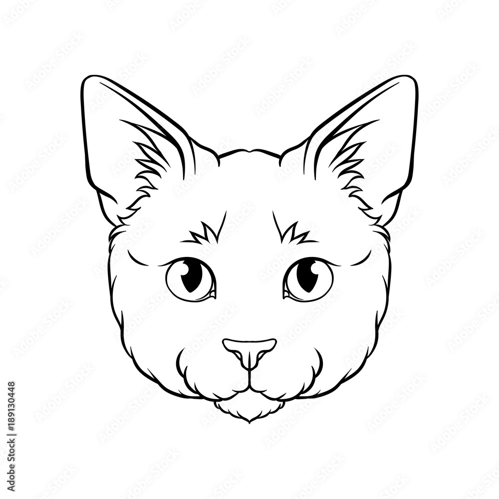 Black and white sketch of cats head, face of pet animal hand drawn vector Illustration Black and white sketch of cats head, face of pet animal hand drawn vector Illustration