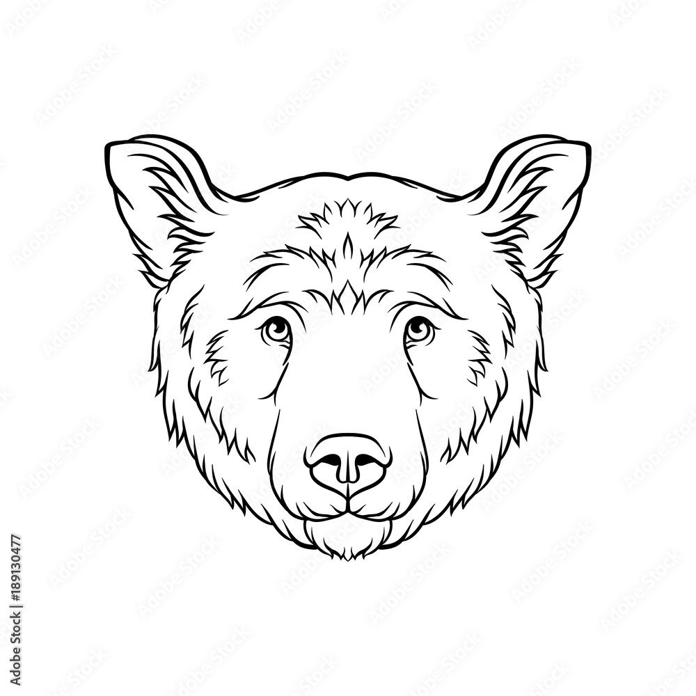 Black and white sketch of bears head, face of wild animal hand drawn vector Illustration
