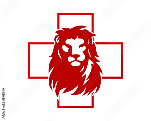 Fototapeta Naklejka Na Ścianę i Meble -  medical lion leo head face image vector icon logo
