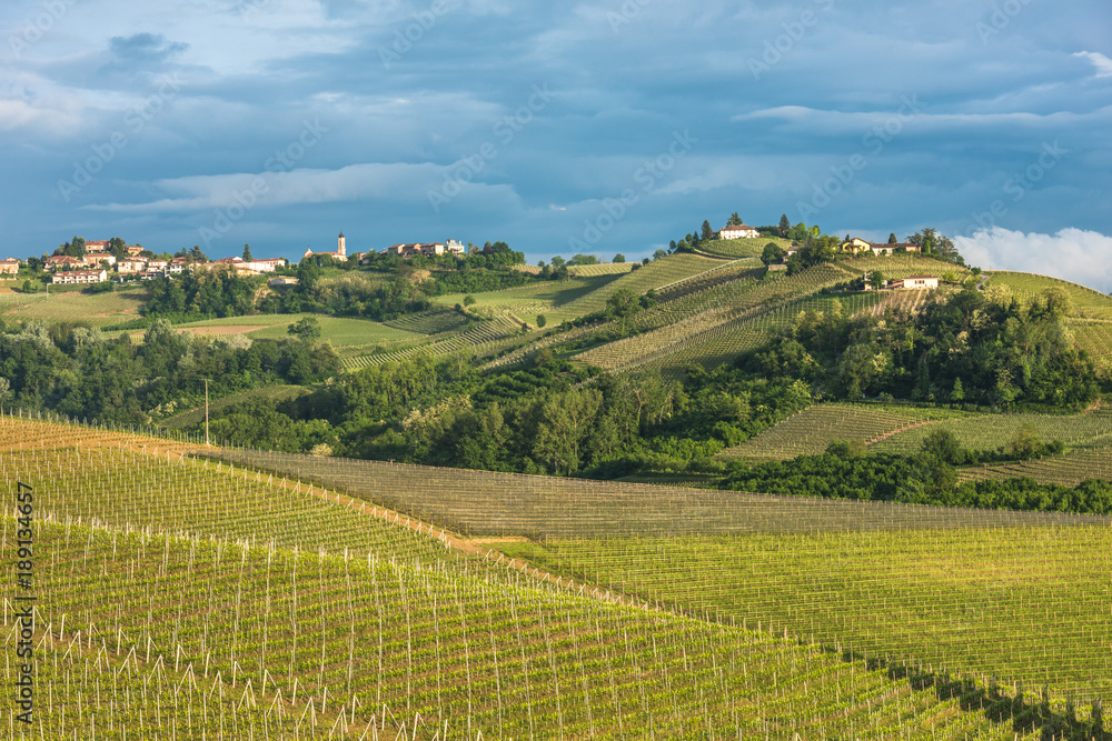 Vineyards of Langhe, Piedmont, UNESCO world heritage