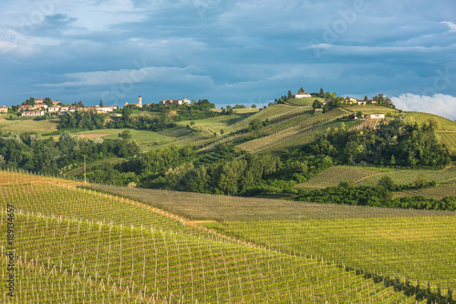 Vineyards of Langhe  Piedmont  UNESCO world heritage