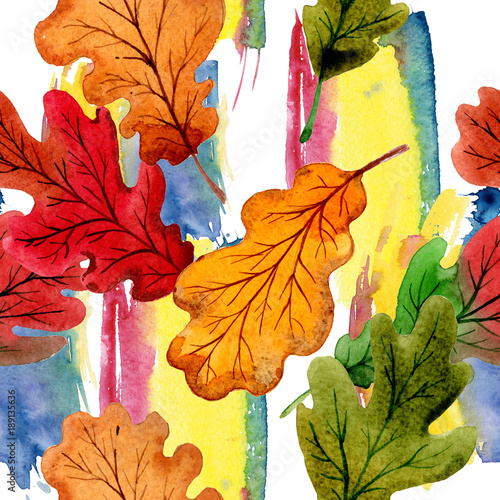 Autumn leaf of oak pattern in a hand drawn watercolor style. Aquarelle leaf of oak for background, texture, wrapper pattern, frame or border.