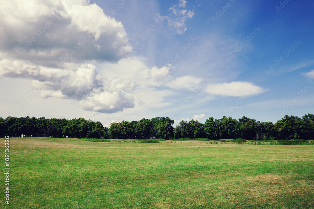 Green grass spring lawn at sunny day Green grass spring lawn at sunny day