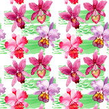 Wildflower pink orchid flower pattern in a watercolor style. Full name of the plant: pink orchid. Aquarelle wild flower for background, texture, wrapper pattern, frame or border.