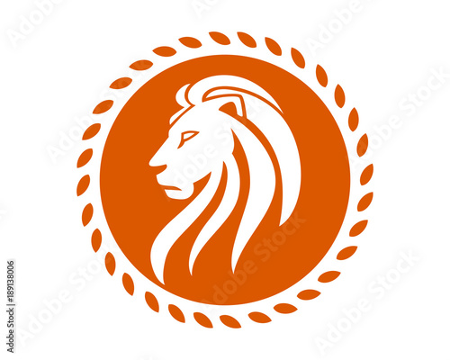 Fototapeta Naklejka Na Ścianę i Meble -  orange lion leo image vector icon logo