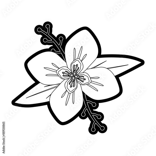 flower  design vector  illustrtion