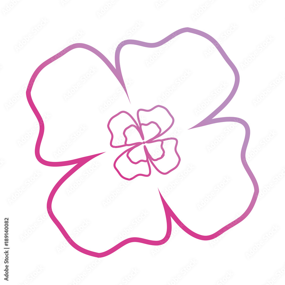 purple flower design vector illustration purple flower design vector illustration