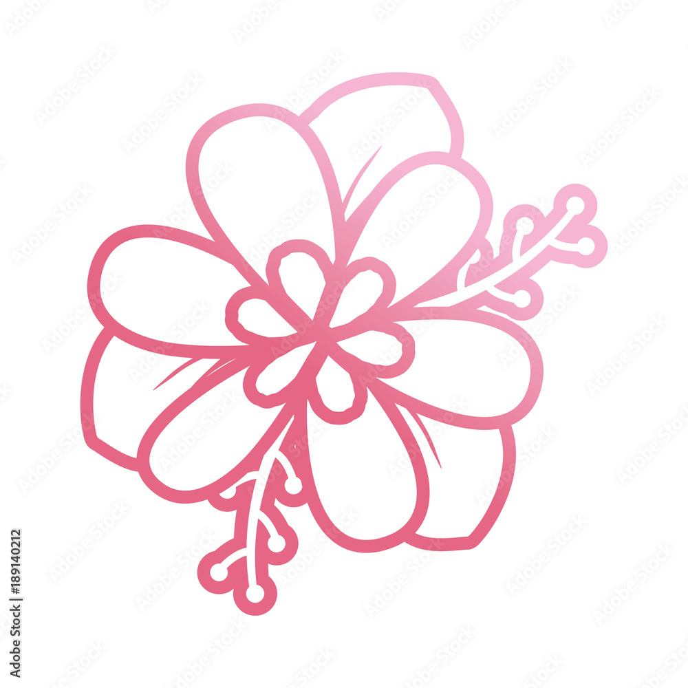 Fototapeta premium pink flower design vector illustration