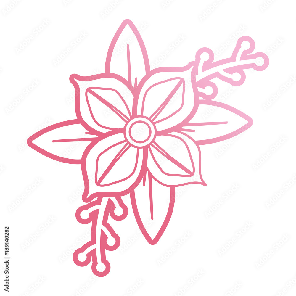 Fototapeta premium pink flower design vector illustration