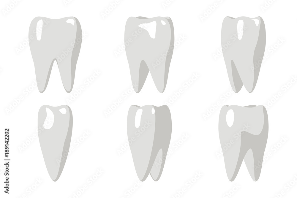 Cartoon Tooth Rotation Animation Frames 3d Stomatology Dental Poster Flat Design Isolated Icon Template Transperent Background Mock Up Vector Illustration Cartoon Tooth Rotation Animation Frames 3d Stomatology Dental Poster Flat Design Isolated Icon Template Transperent Background Mock Up Vector Illustration
