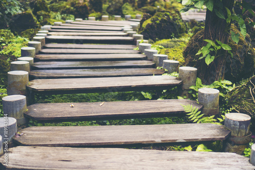 way to the nature  nature road