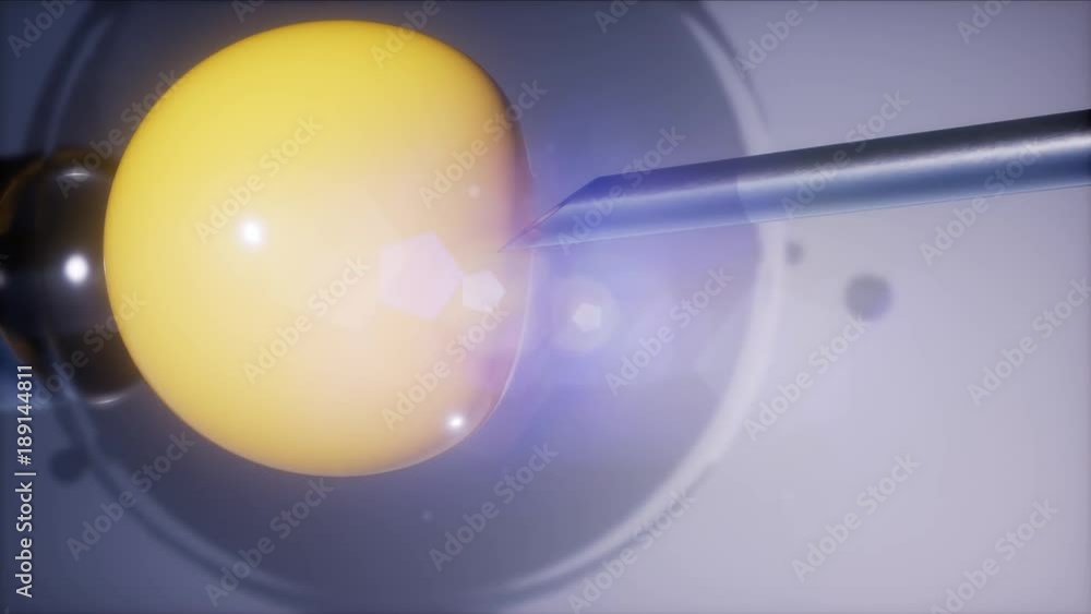 custom made wallpaper toronto digitalartificial insemination microscopy engineering