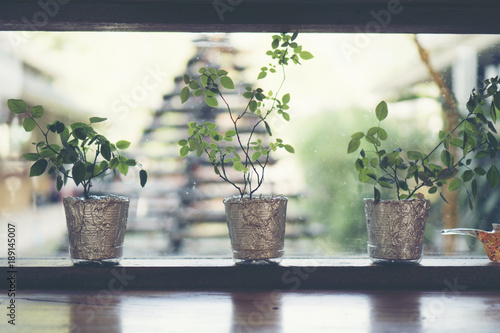 vintage flower pot in coffe...