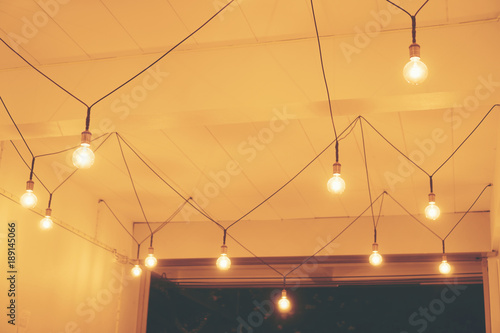 Decorative antique edison s...