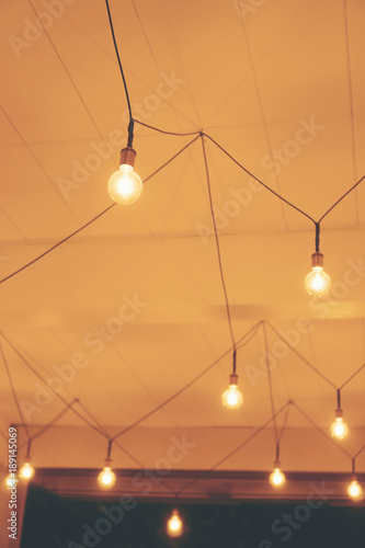 Decorative antique edison s...