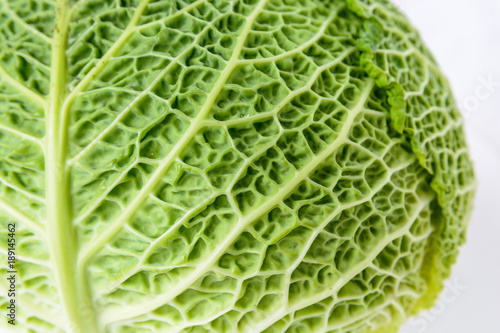Close-up view of the crumpled structure of a green cabbage leaf.