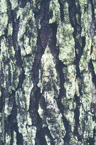 abstract texture backgrond ...