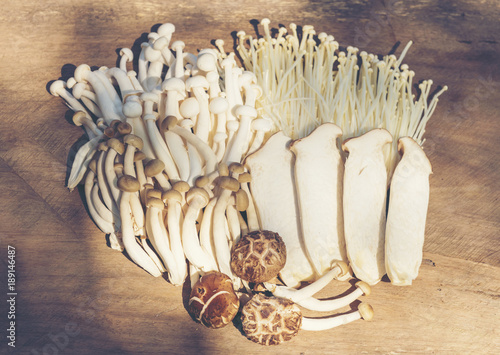 Cooking ingredients From mushrooms to health photo