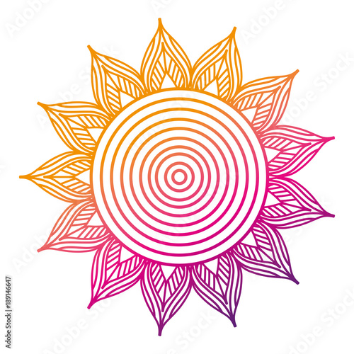 floral mandala round ornament for adult coloring page vector illustration color line gradient design