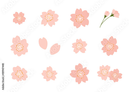 桜　イラストセット