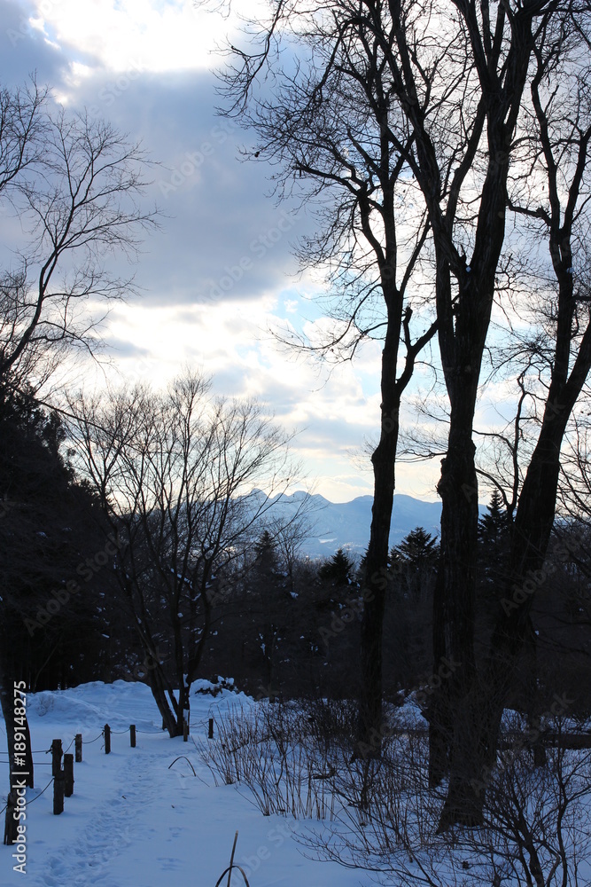 Fototapeta premium 冬の榛名山