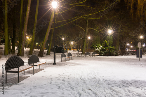 Snowy winter in the park at dusk, Poland