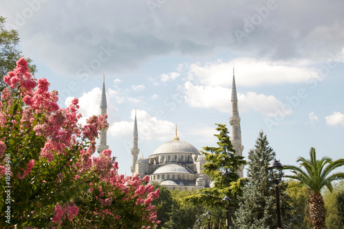 beautiful view of aya sofia mosque in summer