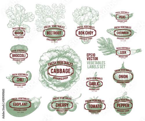 Collection of hand drawn vegetable illustrations, vector illustration in vintage style. Labels with various vegetables. Set of logo templates for shops and markets of organic vegetarian food.