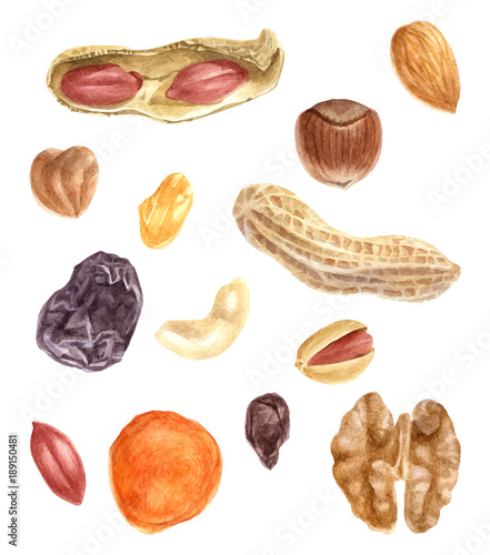 Nuts and dried fruits watercolor set