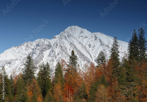 peak snow mountains and forests