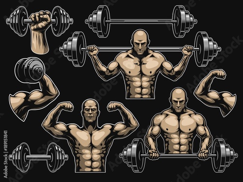 Elements for bodybuilding