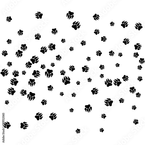 Monochrome Bear Footprints in Black and White. Prints of Paws with Big Claws for Petshop Design or for Goods for Pets. Simple Pattern for Print, Logo or Poster. Vector Confetti Background. © OLENA