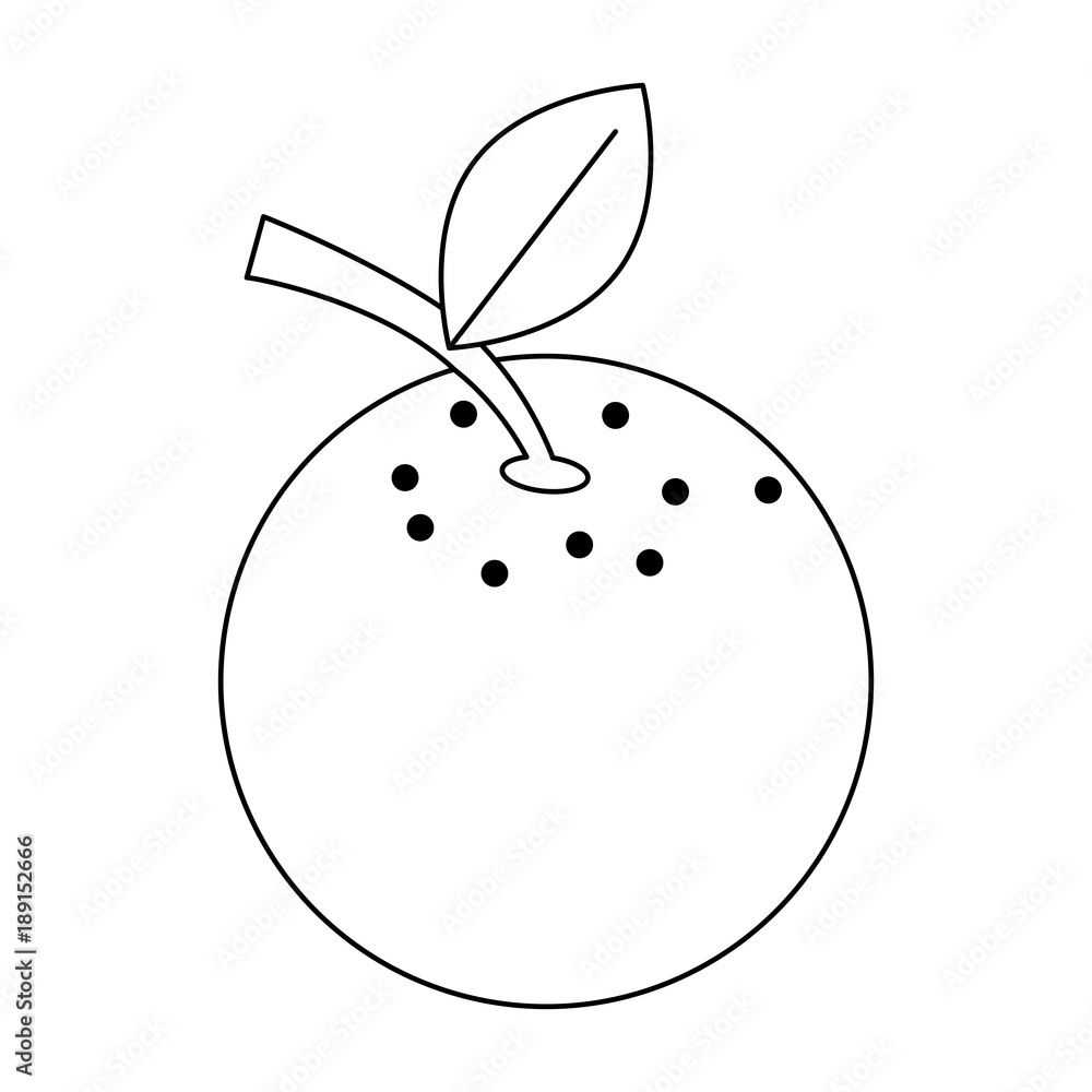 Orange citric fruit icon vector illustration graphic design Orange citric fruit icon vector illustration graphic design