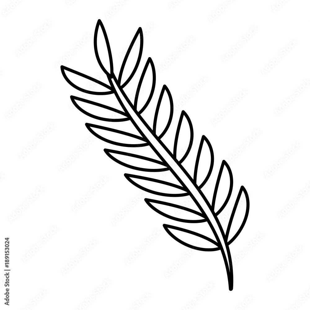 cute butterfly wings insect decoration vector illustration outline image cute butterfly wings insect decoration vector illustration outline image