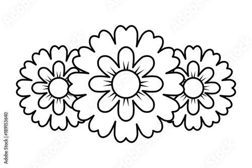 Fototapeta Naklejka Na Ścianę i Meble -  three flower natural decoration ornament image vector illustration outline image