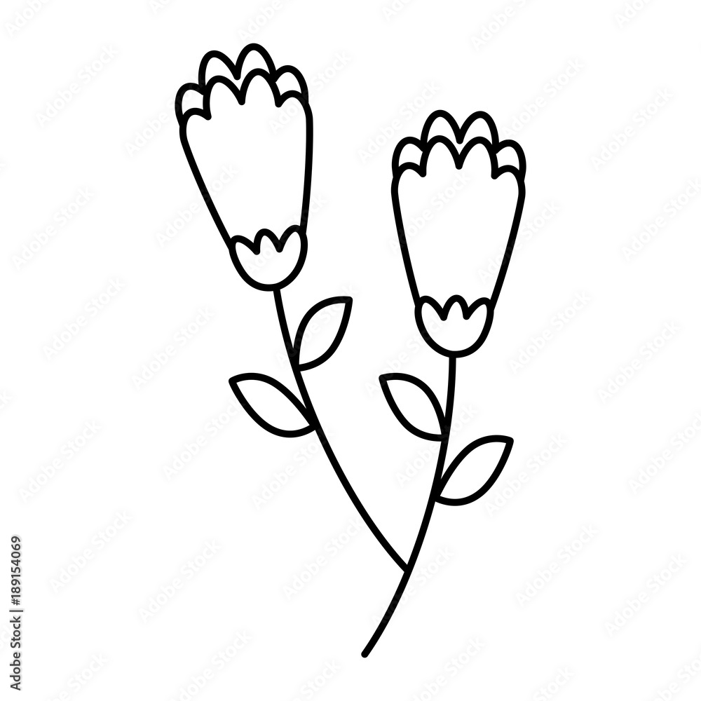 two flowers decorative spring image vector illustration outline design two flowers decorative spring image vector illustration outline design