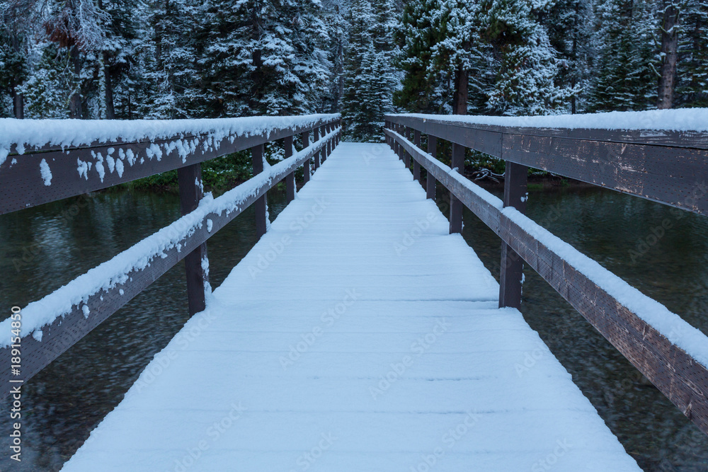 Obraz premium Winter in Glacier Park
