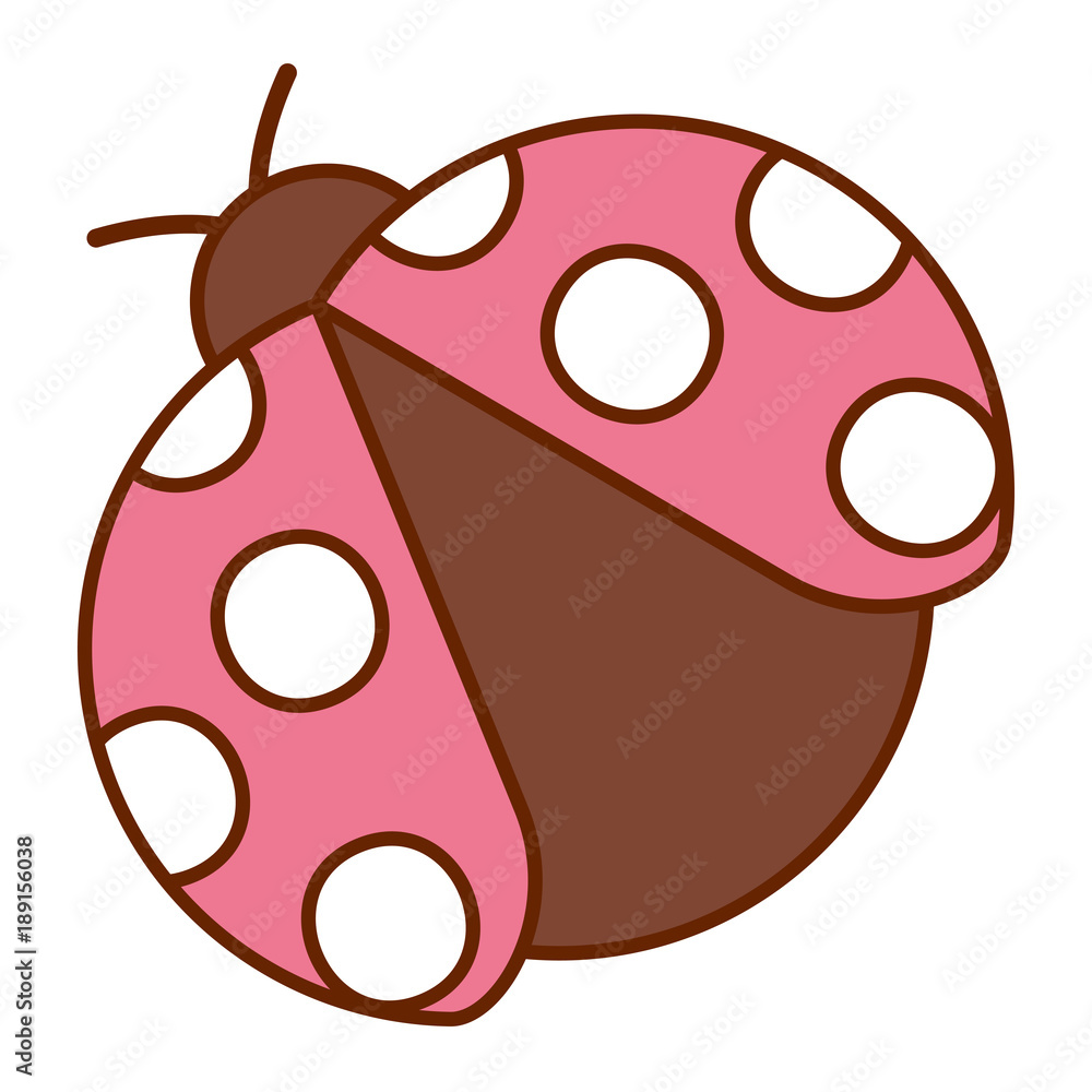 Fototapeta premium ladybug insect small icon animal vector illustration